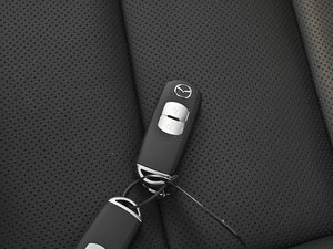 20132.0L Ԅ(dng)(q)F ܇耳