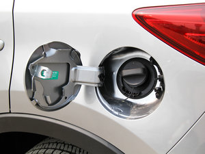 20142.0L ԄӃ򌶼а w