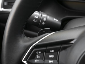 2017Ɏ 2.0L Ԅ\ п؅^