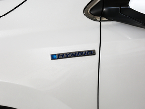 20192.0L (q)ٰ VI (x)(ji)^