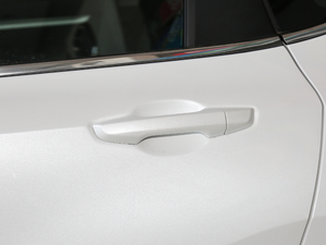 20192.0L (q)ٰ VI (x)(ji)^