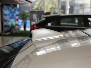 2019��260TURBO ������ �������^