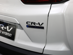 2021J(dng) 2.0L (q)ٰ (x)(ji)^