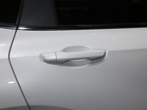 2021J(dng) 2.0L (q)ٰ (x)(ji)^