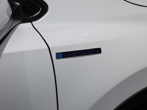 2021J(dng) 2.0L (q)ٰ (x)(ji)^