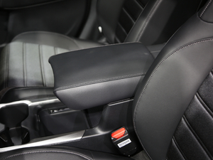 2021J(dng) 2.0L (q)ٰ 