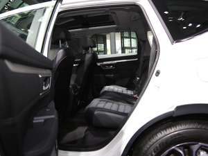 2021J(dng) 2.0L (q)ٰ ſg