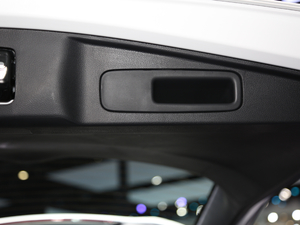 2021J(dng) 2.0L (q)ٰ g