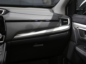 2021J(dng) 2.0L (q)ٰ п؅^(q)