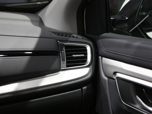 2021J(dng) 2.0L (q)ٰ п؅^(q)