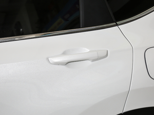 2021J(dng) 2.0L (q)G (x)(ji)^