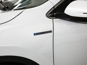 2021J(dng) 2.0L (q)G (x)(ji)^