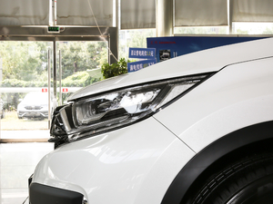 2021J(dng) 2.0L (q)G (x)(ji)^