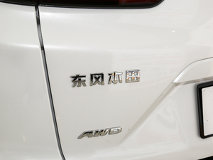 2021J(dng) 2.0L (q)G (x)(ji)^