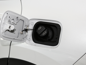 2021J(dng) 2.0L (q)G (x)(ji)^