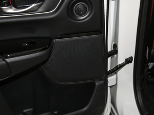 2021J(dng) 2.0L (q)G g