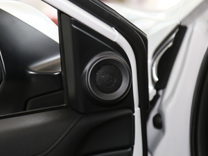 2021J(dng) 2.0L (q)G g