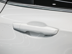 2021J 2.0L (q)ھʿ (x)(ji)^