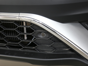 2021J(dng) 2.0L (q)Y (x)(ji)^