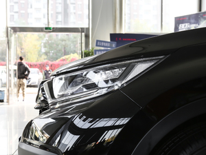 2021J(dng) 2.0L (q)Y (x)(ji)^