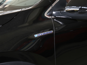 2021J(dng) 2.0L (q)Y (x)(ji)^