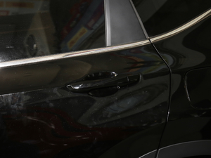 2021J(dng) 2.0L (q)Y (x)(ji)^