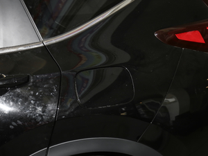 2021J(dng) 2.0L (q)Y (x)(ji)^