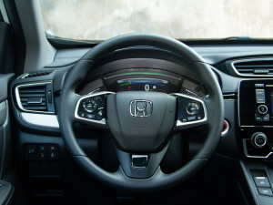 2021J(dng) 2.0L (q)а P