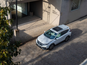 2021J(dng)e+ 2.0L Ű w^