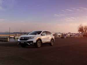 2021J(dng)e+ 2.0L Ű w^