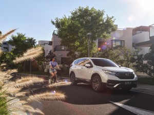 2021J(dng)e+ 2.0L Ű w^