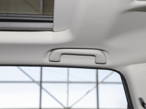 2021J(dng)e+ 2.0L Y g