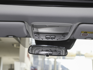 2021J(dng)e+ 2.0L Y g