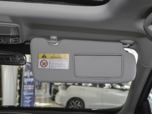 2021J(dng)e+ 2.0L Y g