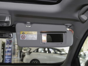 2021J(dng)e+ 2.0L Y g