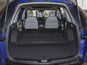 2021J(dng)e+ 2.0L Y g