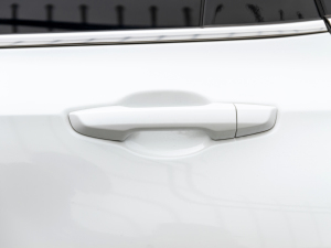 2021J(dng)e+ 2.0L Ű (x)(ji)^