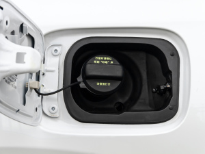 2021J(dng)e+ 2.0L Ű (x)(ji)^