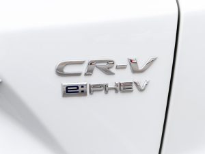 2021Je+ 2.0L Ű (ji)^