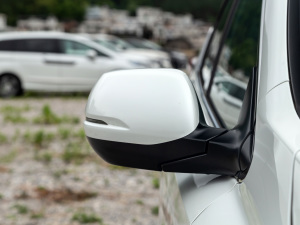 2021J(dng)e+ 2.0L ǰ (x)(ji)^