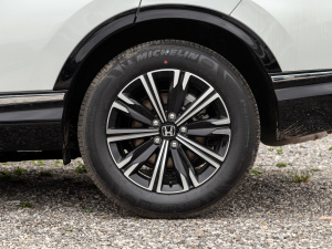 2021J(dng)e+ 2.0L ǰ (x)(ji)^