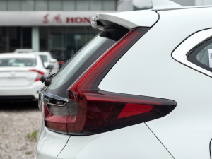 2021J(dng)e+ 2.0L ǰ (x)(ji)^