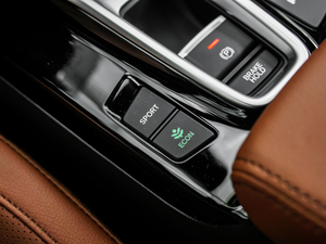 20211.5L ҫ п؅^(q)