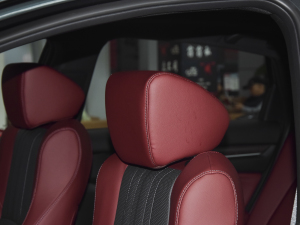 2022J(dng) 2.0L Խ g