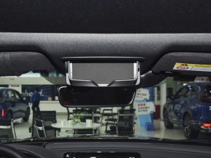 2022J(dng) 2.0L Խ g