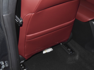 2022J(dng) 2.0L Խ g