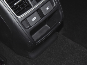 2022J(dng) 2.0L Խ g