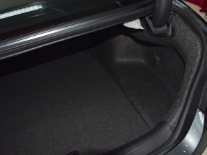 2022J(dng) 2.0L Խ g