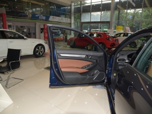 2022J(dng) 2.0L Ű {λ܇T