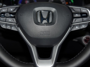 2022J(dng) 2.0L Ű п؅^(q)